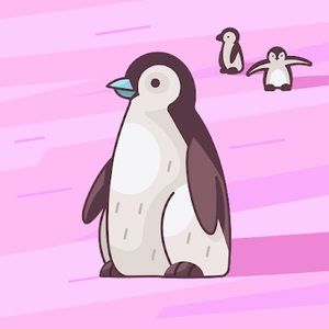 Meet your Posher, Aracely